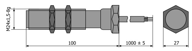 Рис.1. Габаритный чертеж датчика БТП-101-24